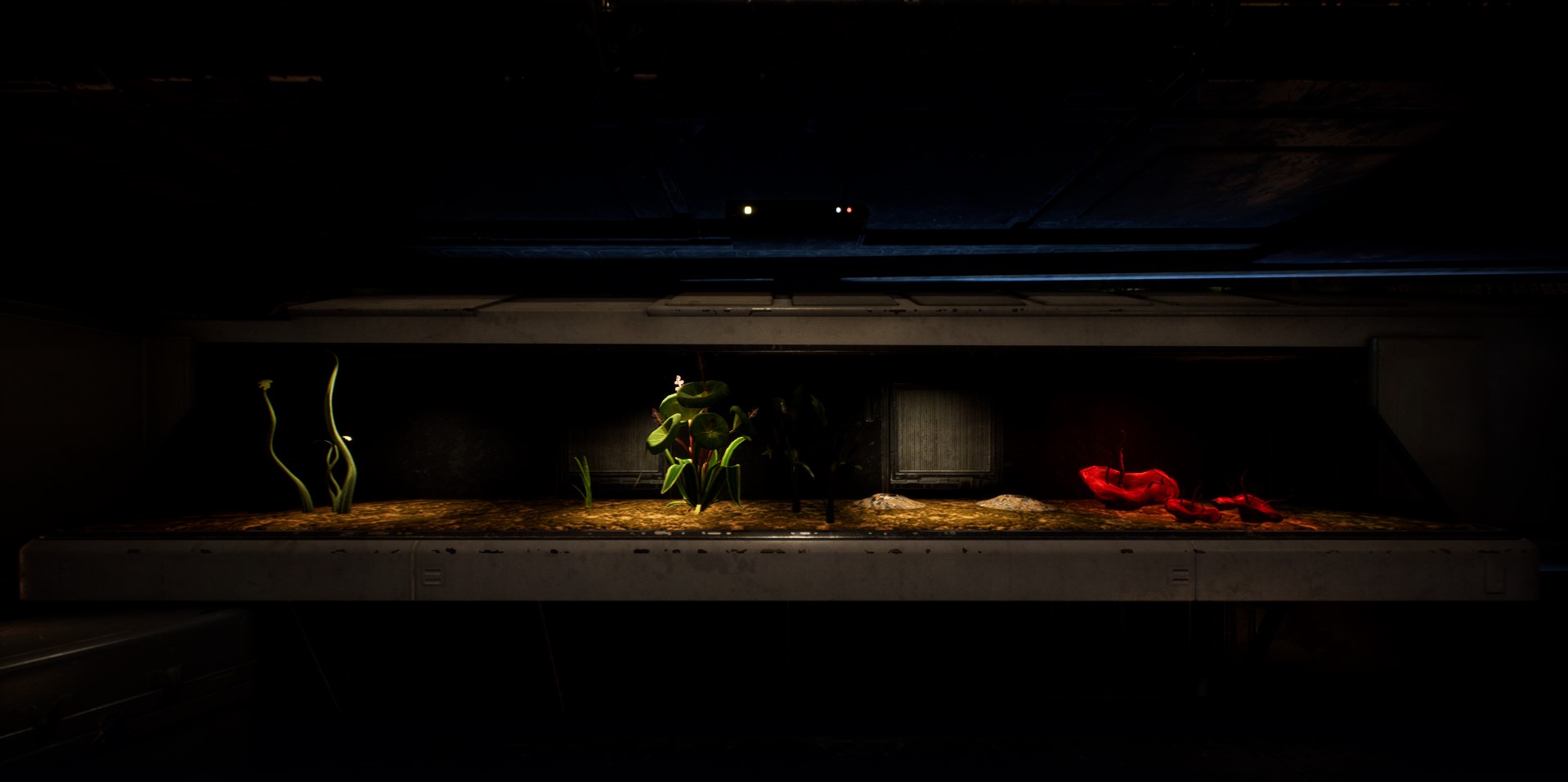 Toutes les graines de terrarium dans Jedi Fallen Order