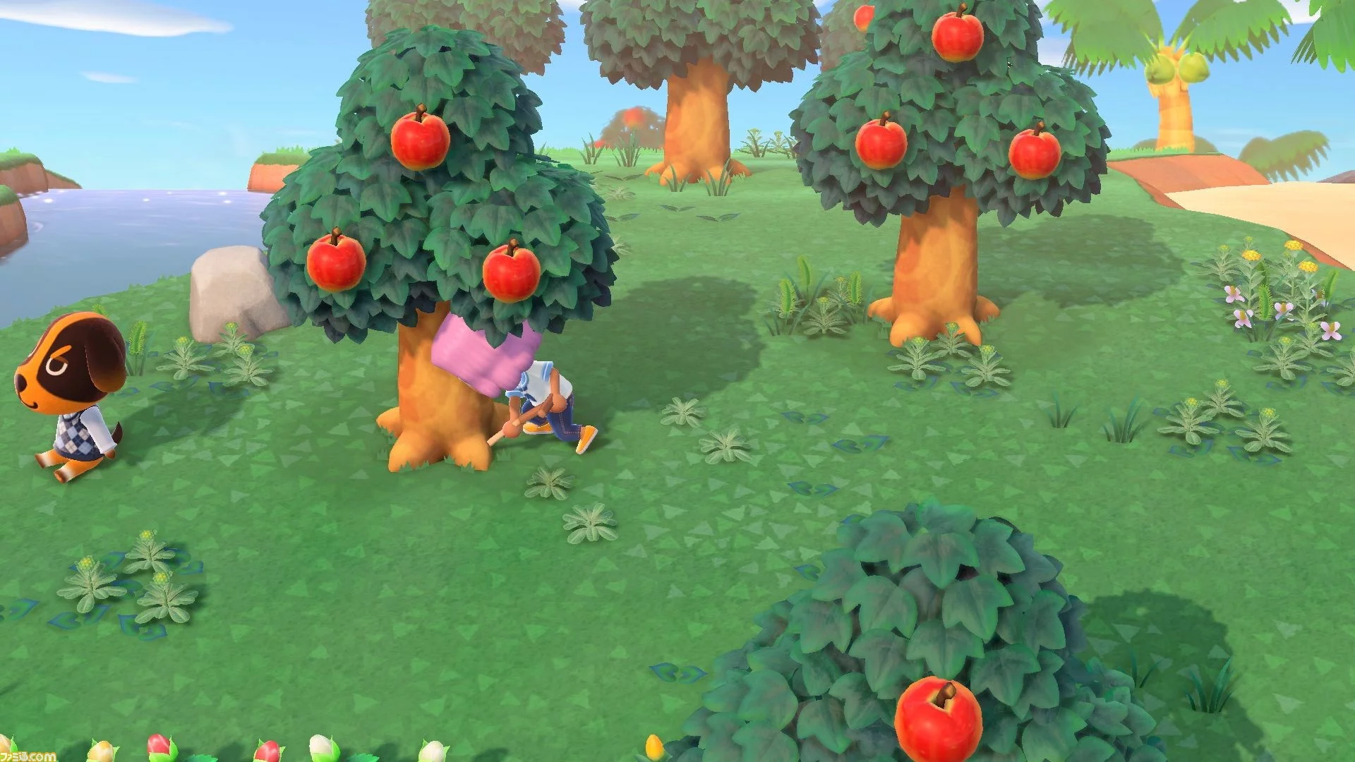 Animal Crossing: New Horizons Fruit Arbres