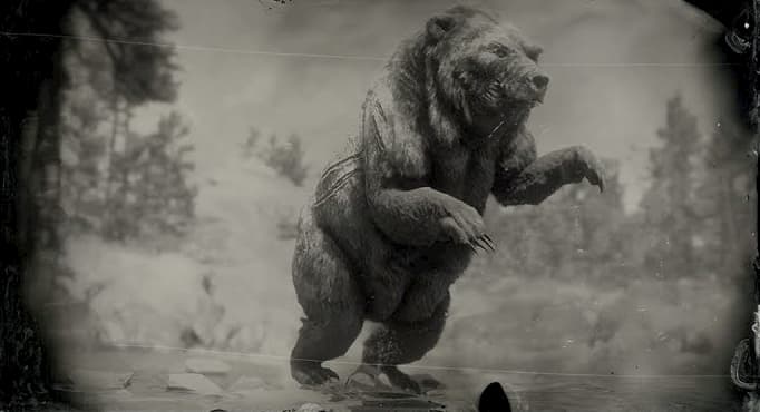 Image en noir et blanc d'un ours sur ses pattes arrière
