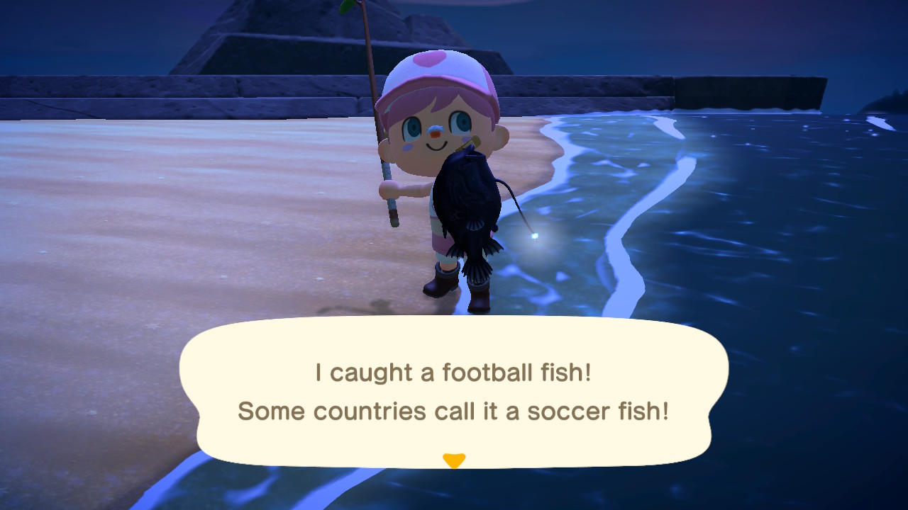 Attraper un poisson de football