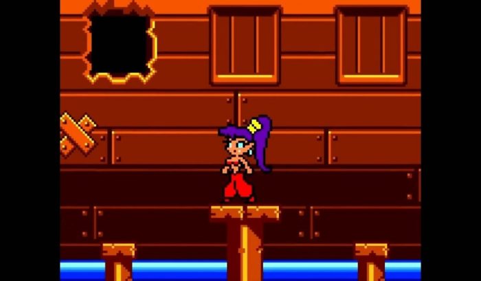 Port de commutateur Nintendo Shantae