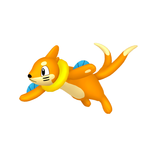 Buizel