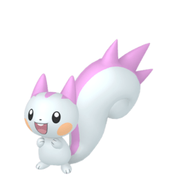 pachirisu brillant