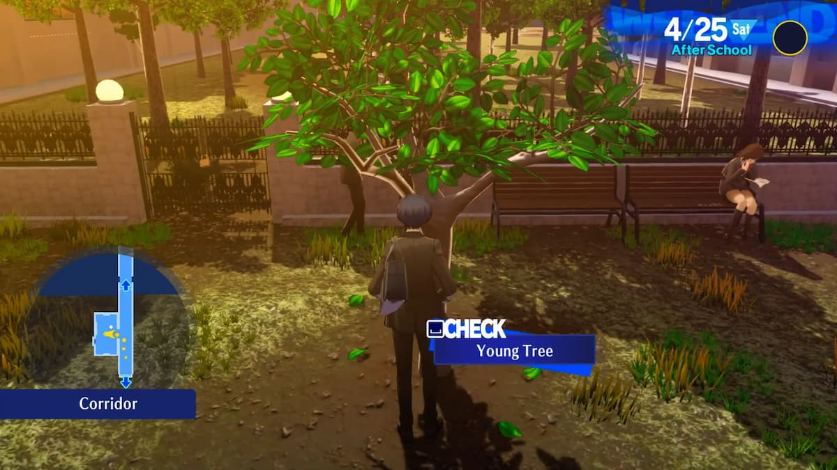 persona 3 recharger l'emplacement de l'arbre kaki