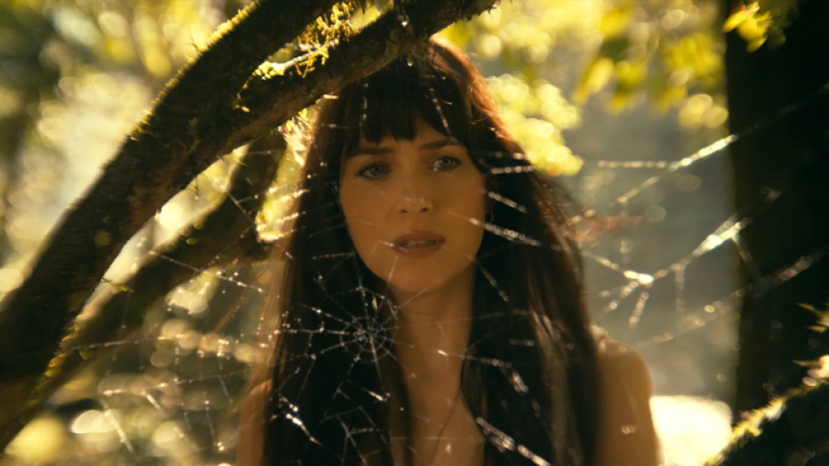 Madame Web Dakota Johnson regarde une toile dans la forêt.  Cette image fait partie d'un article indiquant si Spider-Man est dans Madame Web.